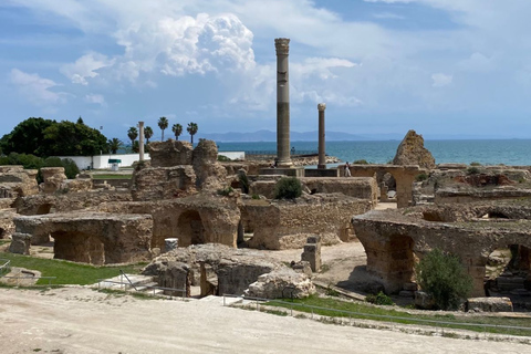 From Tunis & Hammamet: Bardo, Carthage & Sidi Bou Said