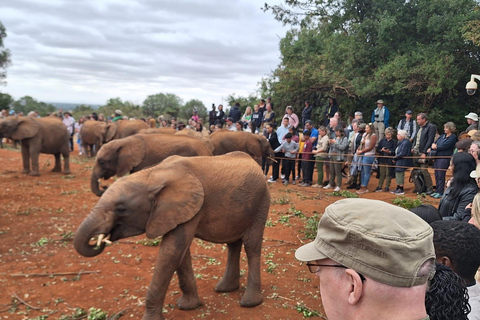 Nairobi: Giraffe Center, Elephant Orphanage, and Beads Tour