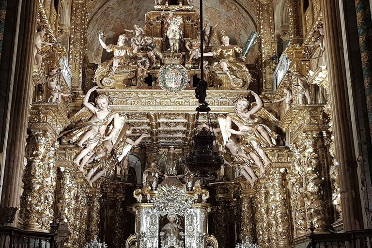 Tour completo della Cattedrale di Santiago: Pórtico da Gloria e Museo