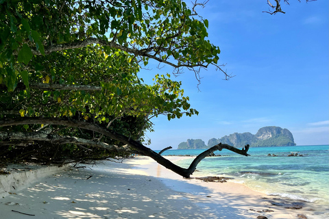 Phi Phi: Full Day by Longtail Boat with Sunset and Plankton