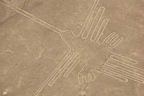 Nazca: Light aircraft flight over the Nazca Lines