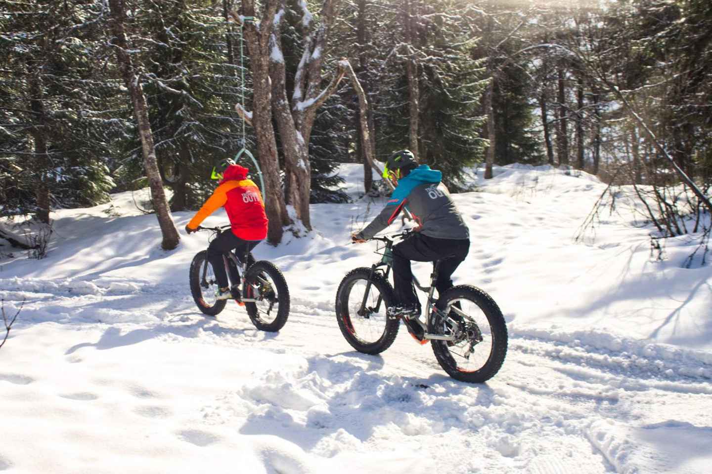 Tromsø: Viaje en bicicleta eléctrica de ruedas anchas por caminos de invierno