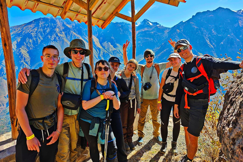 Canyon du Colca : journée complète - randonnée de 1h30, condors et vues panoramiquesCanyon de Colca : Excursion d'une journée, randonnée d'une heure et demie, condors et vue