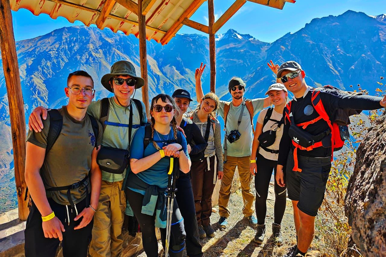 Canyon du Colca : journée complète - randonnée de 1h30, condors et vues panoramiquesCanyon de Colca : Excursion d'une journée, randonnée d'une heure et demie, condors et vue