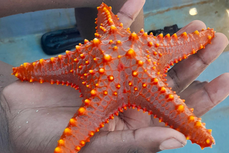 ZANZIBAR : VISITE DU LAGON BLEU