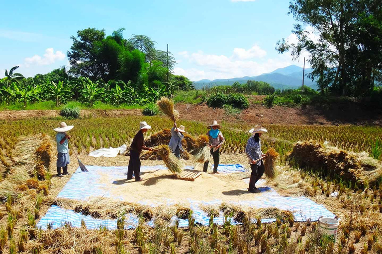 Chiang Mai: 25 km di tempo libero in mountain bike e kayak nella giunglaDa Chiang Mai: tour in bici e kayak