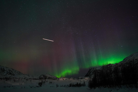 Tromsø: Small-Group Adventurous Northern Lights Hunt