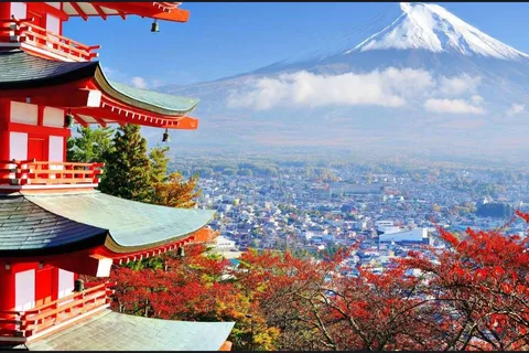 英語ドライバーと行く富士山と桜の日帰りツアー
