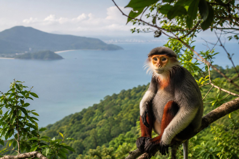 Da Nang: Marble Mountains, Monkey Mountain & Cave Tour Group Tour Afternoon (PM)