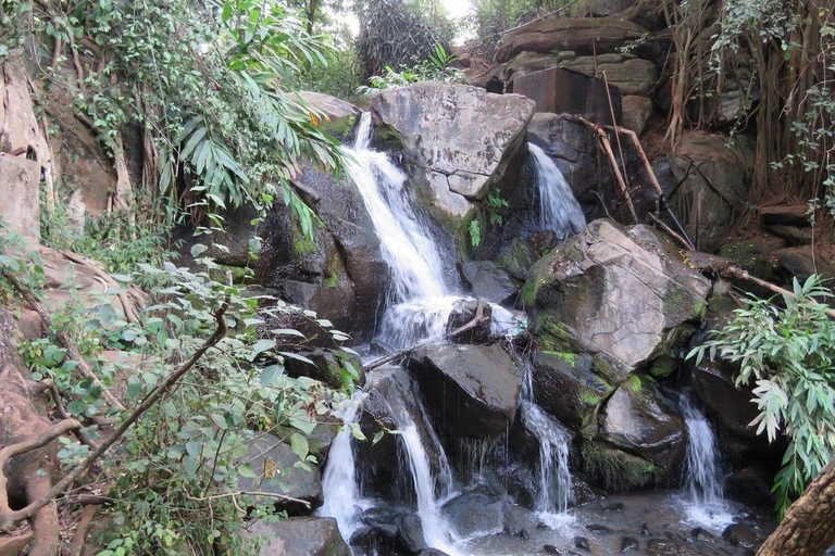 Nairobi: Karura Forest, Coffee, and Art Tour with Lunch Karura Forest Trecking With Bicycle Riding