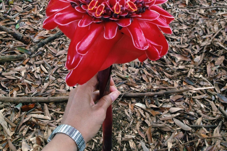 رحلة خاصة ليوم واحد: المرتفعات الدومينيكية وثقافة التاينورحلة خاصة ليوم واحد إلى المرتفعات الدومي