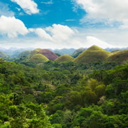 From Cebu: Day Trip to Bohol Highlights