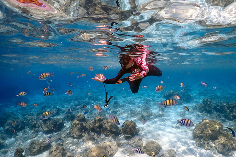 Khao Lak: Excursão Premium às Ilhas Racha com mergulho com snorkel e almoçoDe Khao Lak: passeio de lancha às Ilhas Racha com snorkel