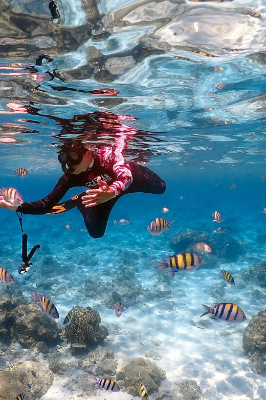 Khao Lak: Racha Islands Speedboat Tour with Snorkel & Lounas: Racha ...