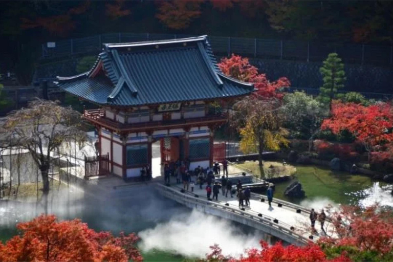 Da Osaka/Kyoto : Escursione privata a Osaka con servizio di prelievo e rientroTutto l'anno