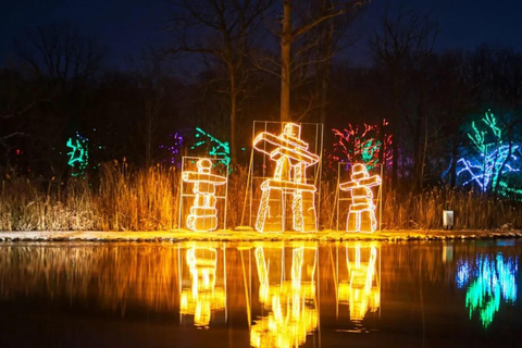 Vanuit Toronto: Winter Lichtjesfestival Niagara Falls TourTour met reis achter de watervallen en Skylon Tower