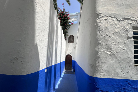 Excursión de un día a Asilah y las Cuevas de HérculesExcursión de un día privada a Asilah y las Cuevas de Hércules