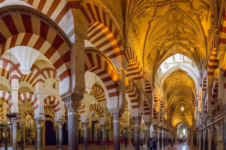 Córdoba: Entry ticket to the Mosque-Cathedral and Patio de los Naranjos