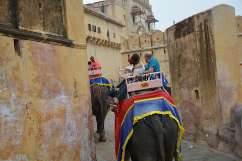 Jaipur: Amber Fort, Stadtpalast und Hawa Mahal Tagestour