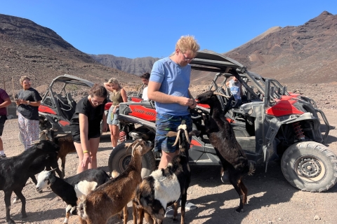 Fuerteventura : Excursión en buggy por el sur de la islaSilla de paseo para 1 persona