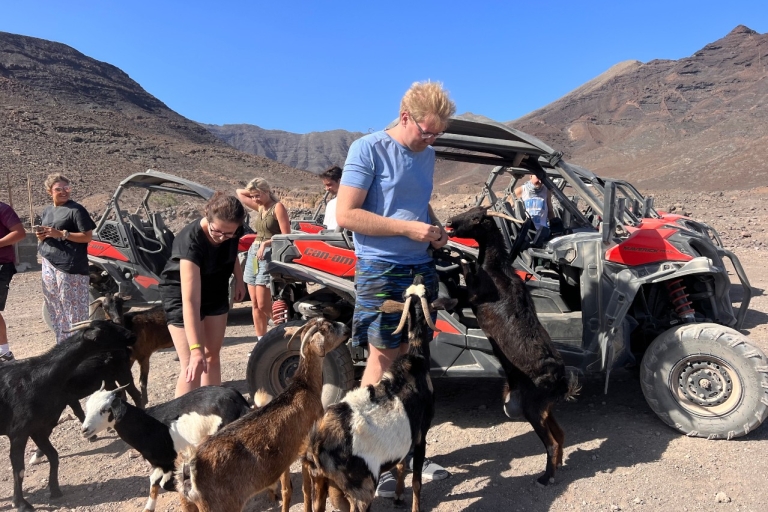 Fuerteventura : Excursion en buggy dans le sud de l'îleBuggy pour 2 personnes