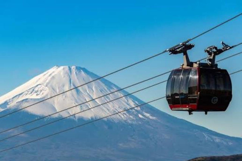 Tokyo:Mount Fuji Explorer Private Tour(Customised)With Guide
