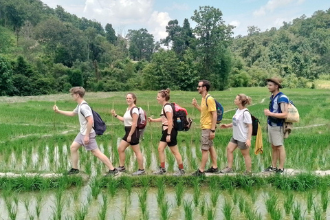 Chiang Mai: 2-Days Jungle Trek, Waterfalls and Karen Village