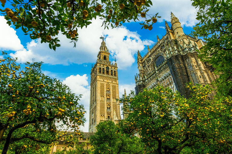 Sevilla: Tour mit bevorzugtem Zugang zu Kathedrale, Giralda und AlcázarBevorzugter Zugang zur Kathedrale, Giralda &amp; Alcázar Tour auf Italienisch