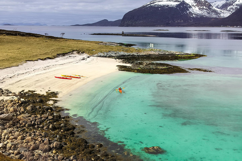 Senja: Fjord Kayaking in Ånderdalen National Park