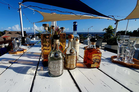 Tequila Tasting Experience | Cancún & Riviera Maya