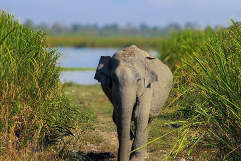 Minneriya Two Park Full-Day Jeep Safari & Kayak Adventure Minneriya Two Park Jeep Safari & Kayak Adventure Full Day