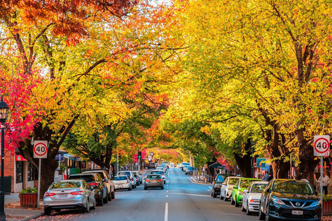 The Luxe South Australia Experience Full-Day Tour