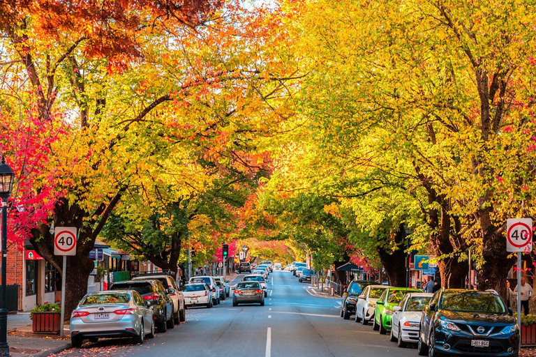 The Luxe South Australia Experience Full-Day Tour