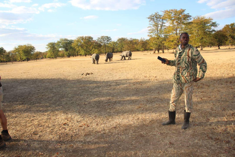 Rhino game drive - Mosi-oa-tunya national park