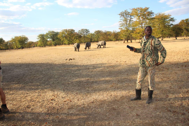 Safari pour les rhinocéros - Parc national de Mosi-oa-tunya