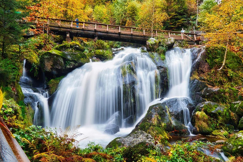 Freiburg, Titisee, and Triberg Excursion: culture, nature, and crafts