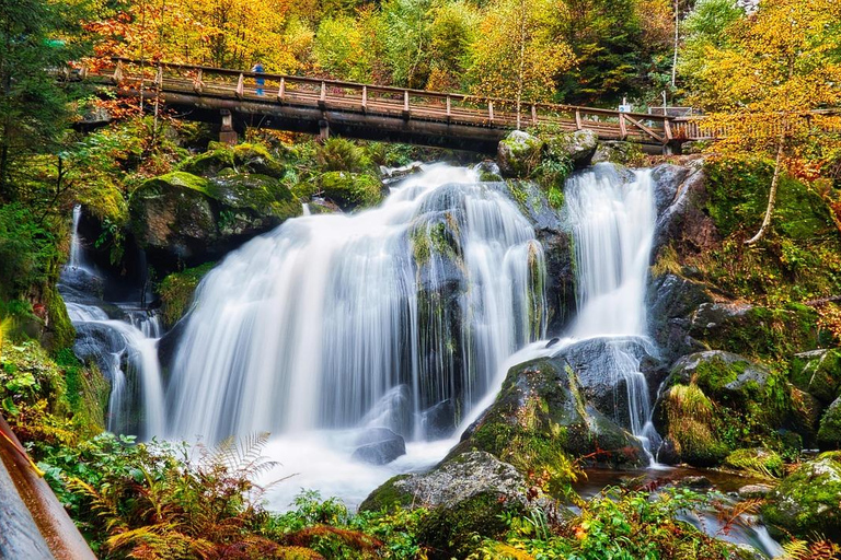 Freiburg, Titisee, and Triberg Excursion: culture, nature, and crafts