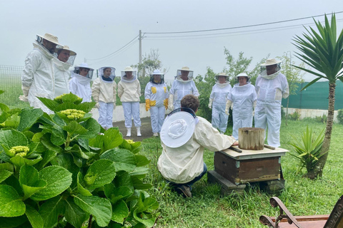 São Miguel: Beekeeping, Honey Tasting & Candle Experience