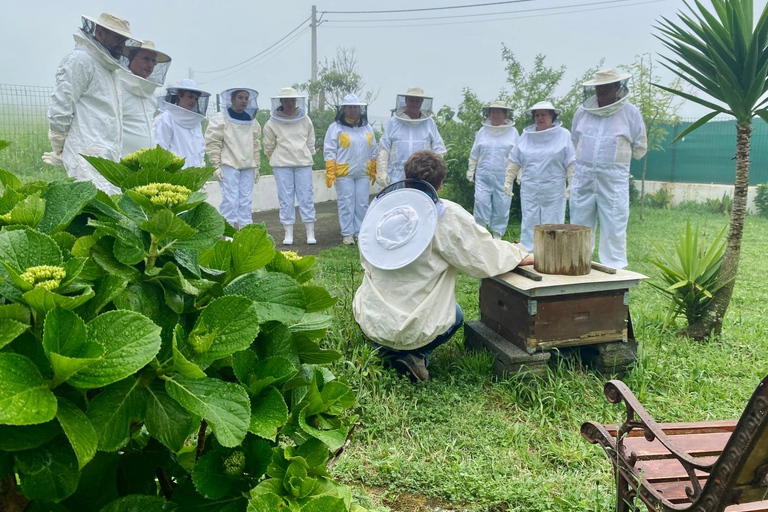 São Miguel: Beekeeping, Honey Tasting & Candle Experience
