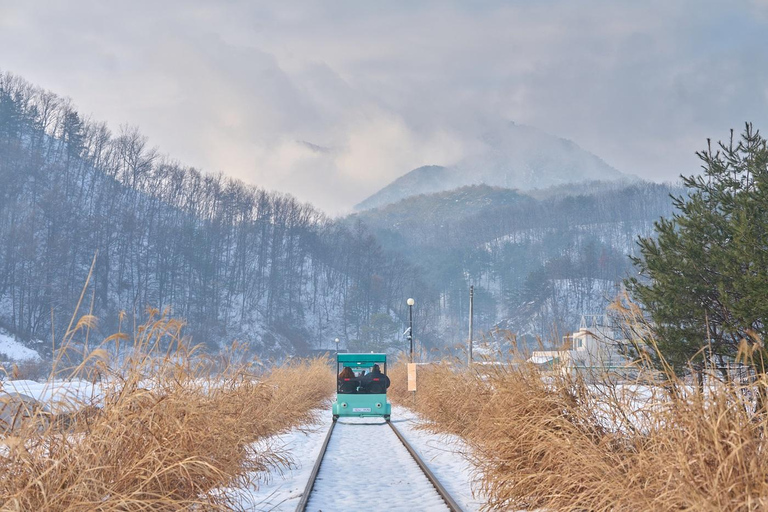 Seoul: Alpaca/Nami/Garden of Morning Calm Tour (+Rail Bike) Group Tour, Meet at Hongdae