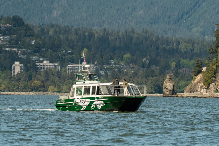 Vancouver: Catamaran Whale Watching Tour, Granville Island