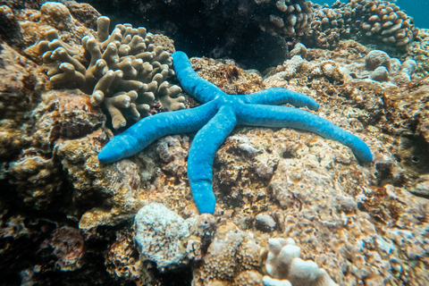 Nusa Penida: Snorkeling 3 Spots with GoPro & West Land Tour Snorkeling 3 Spots with West Land Tour - Meet at Penida Port