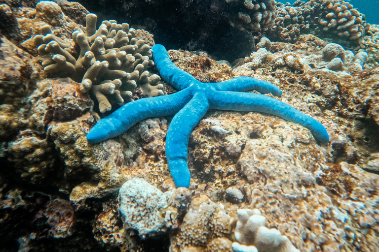 Nusa Penida: Snorkeling 3 Spots with GoPro & West Land Tour Snorkeling 3 Spots with West Land Tour - Meet at Penida Port