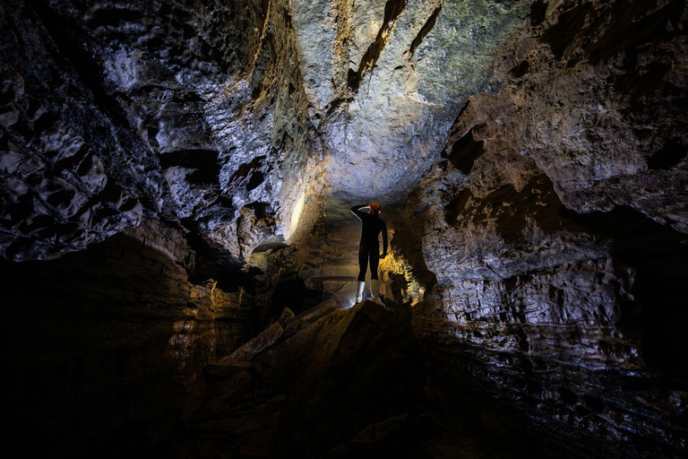 The Waitomo Experience : Okahua Glowworm Cave Tour