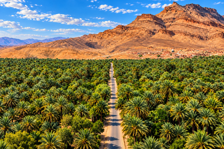 From Agadir: 2-Day Zagora Desert Tour, Camel Ride & Camp Shared Tour – Luxury Desert Camp & Camel Rides