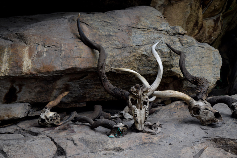 Au départ d'Arusha : circuit du lac Eyasi, des villages Datoga et HadzabeAu départ d'Arusha : visite du lac Eyasi, des villages Datoga et Hadzabe