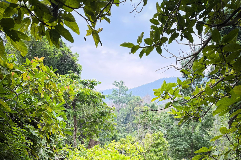 Chiang Mai: Sticky Waterfalls, Cave, and Lunch at Village Join-in With Lunch