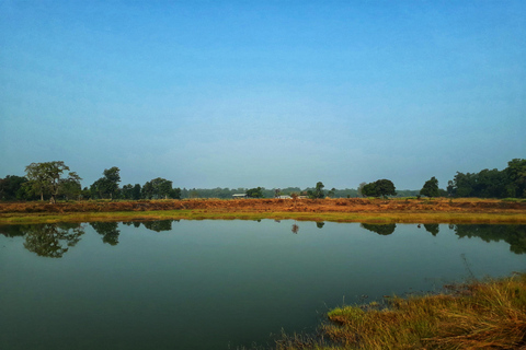 From Kathmandu/Pokhara: 3-Day All-Inclusive Chitwan Safari 4-Star Luxury Accommodation at Hotel Seven Star