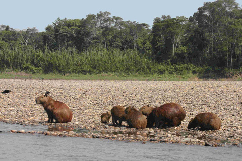 RESERVA NACIONAL DE TAMBOPATA 2 DÍAS DE AVENTURA