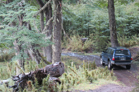 Off-Road and hicking Adventure in San Martin de los Andes Pick Up, Hicking and Snack